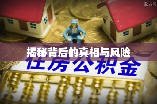阜城揭秘背后的真相与风险