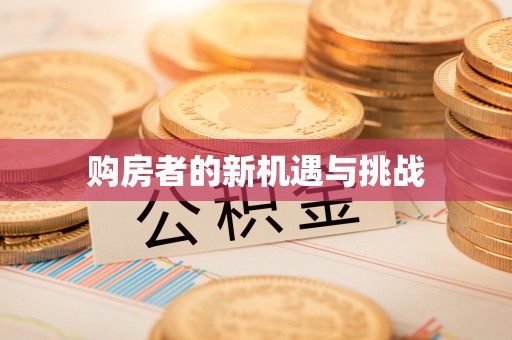阜城购房者的新机遇与挑战