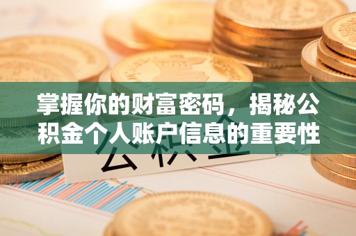 阜城掌握你的财富密码，揭秘公积金个人账户信息的重要性