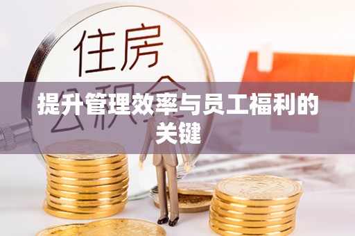 阜城提升管理效率与员工福利的关键