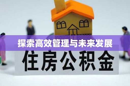 阜城探索高效管理与未来发展
