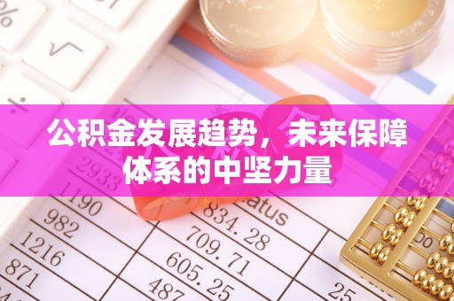 阜城公积金发展趋势，未来保障体系的中坚力量