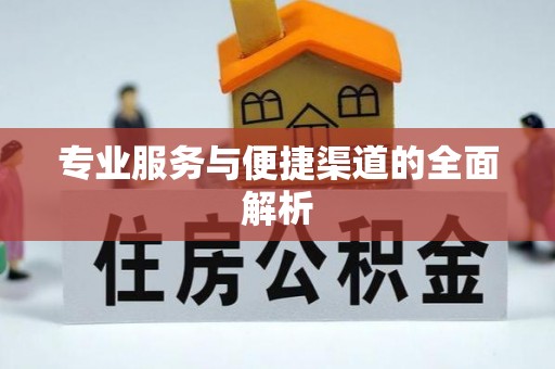 阜城专业服务与便捷渠道的全面解析