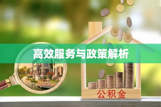 阜城高效服务与政策解析