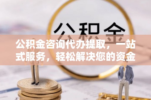 阜城公积金咨询代办提取，一站式服务，轻松解决您的资金需求