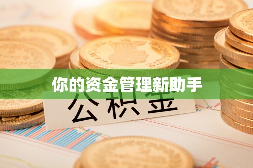阜城你的资金管理新助手