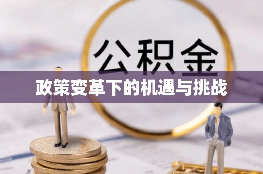 阜城政策变革下的机遇与挑战