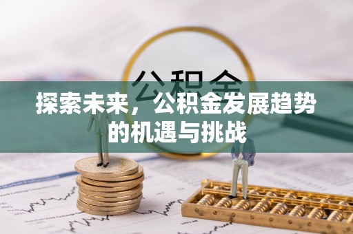 阜城探索未来，公积金发展趋势的机遇与挑战