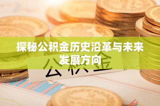 阜城探秘公积金历史沿革与未来发展方向