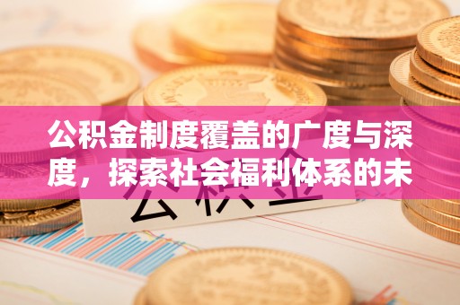 阜城公积金制度覆盖的广度与深度，探索社会福利体系的未来方向