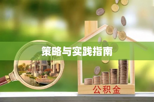 阜城策略与实践指南