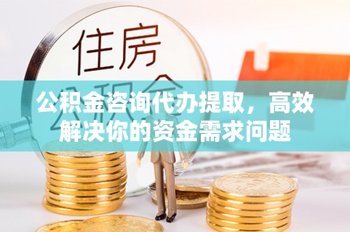 阜城公积金咨询代办提取，高效解决你的资金需求问题