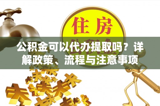 阜城公积金可以代办提取吗？详解政策、流程与注意事项