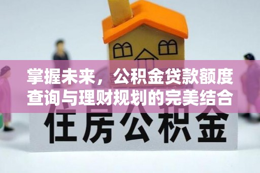 阜城掌握未来，公积金贷款额度查询与理财规划的完美结合