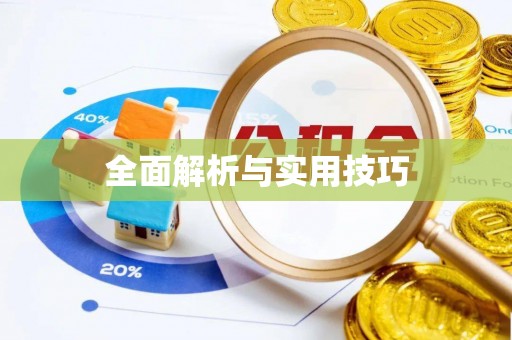 阜城全面解析与实用技巧