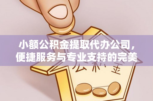 阜城小额公积金提取代办公司，便捷服务与专业支持的完美结合