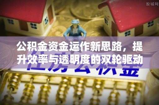 阜城公积金资金运作新思路，提升效率与透明度的双轮驱动