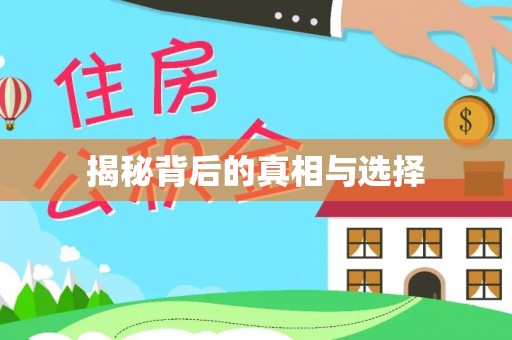 阜城揭秘背后的真相与选择
