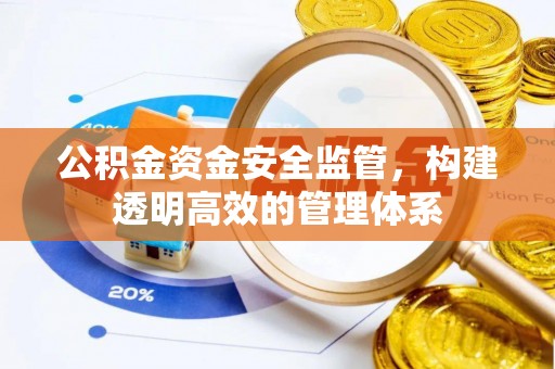 阜城公积金资金安全监管，构建透明高效的管理体系