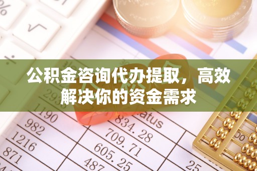 阜城公积金咨询代办提取，高效解决你的资金需求