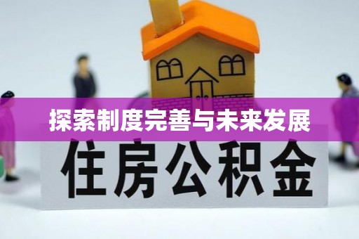 阜城探索制度完善与未来发展