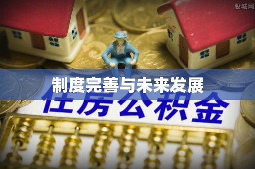 阜城制度完善与未来发展