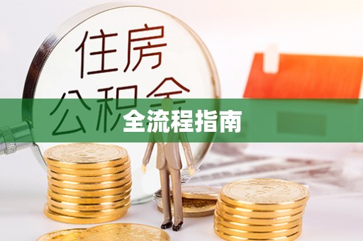 阜城全流程指南