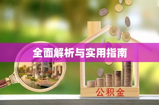 阜城全面解析与实用指南