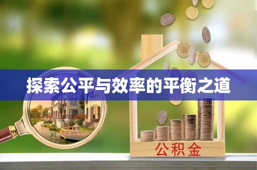 阜城探索公平与效率的平衡之道
