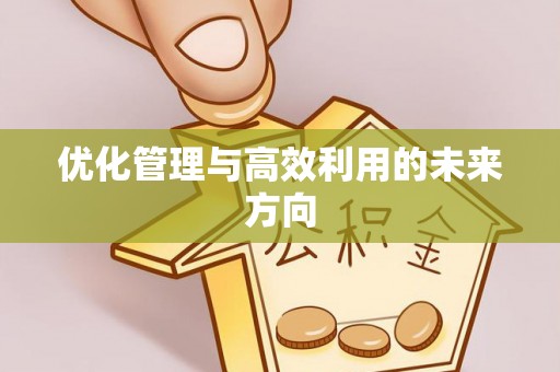 阜城优化管理与高效利用的未来方向