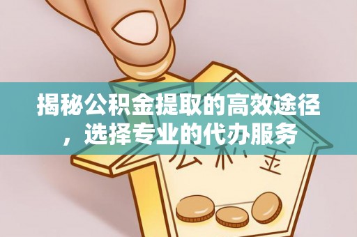 阜城揭秘公积金提取的高效途径，选择专业的代办服务