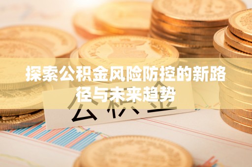 阜城探索公积金风险防控的新路径与未来趋势
