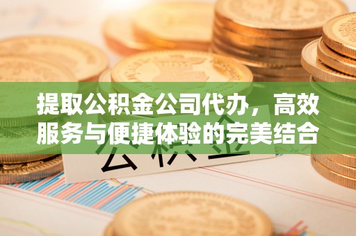 阜城提取公积金公司代办，高效服务与便捷体验的完美结合