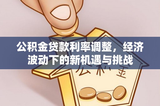 阜城公积金贷款利率调整，经济波动下的新机遇与挑战