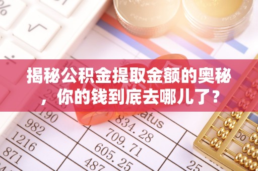 阜城揭秘公积金提取金额的奥秘，你的钱到底去哪儿了？