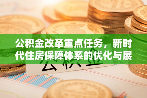 阜城公积金改革重点任务，新时代住房保障体系的优化与展望