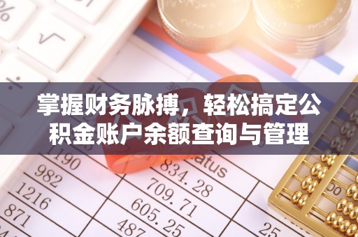 阜城掌握财务脉搏，轻松搞定公积金账户余额查询与管理