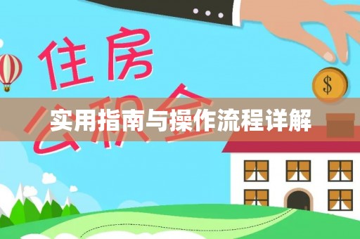 阜城实用指南与操作流程详解