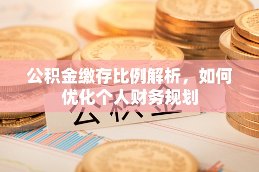 阜城公积金缴存比例解析，如何优化个人财务规划