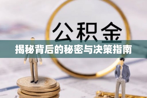 阜城揭秘背后的秘密与决策指南