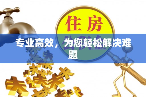 阜城专业高效，为您轻松解决难题