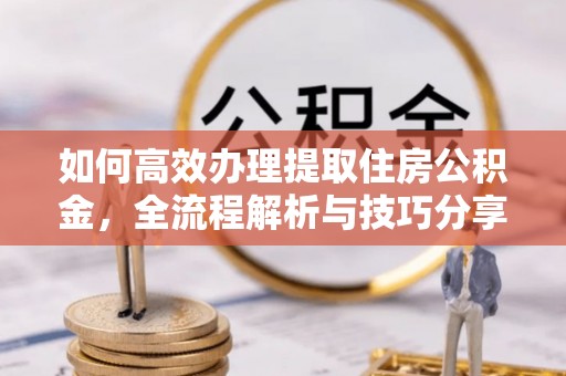 阜城如何高效办理提取住房公积金，全流程解析与技巧分享