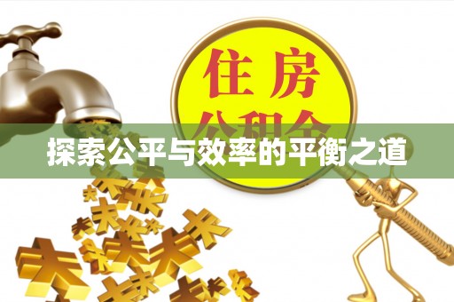 阜城探索公平与效率的平衡之道