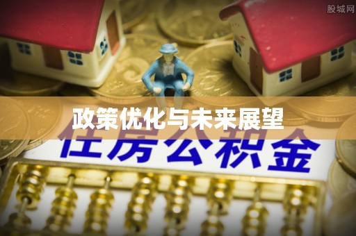 阜城政策优化与未来展望