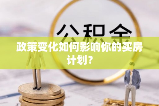 阜城政策变化如何影响你的买房计划？