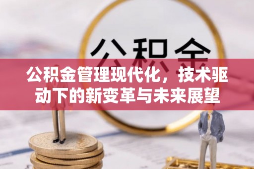 阜城公积金管理现代化，技术驱动下的新变革与未来展望