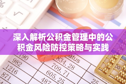 阜城深入解析公积金管理中的公积金风险防控策略与实践