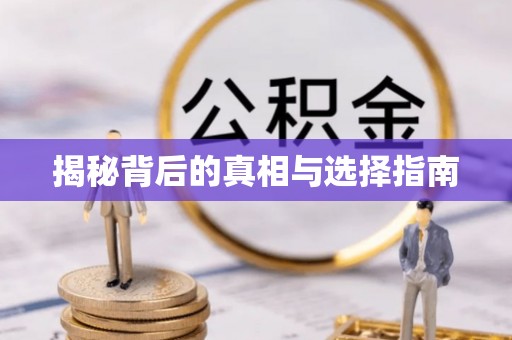 阜城揭秘背后的真相与选择指南