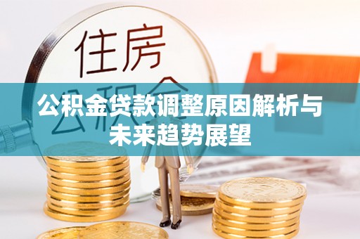 阜城公积金贷款调整原因解析与未来趋势展望