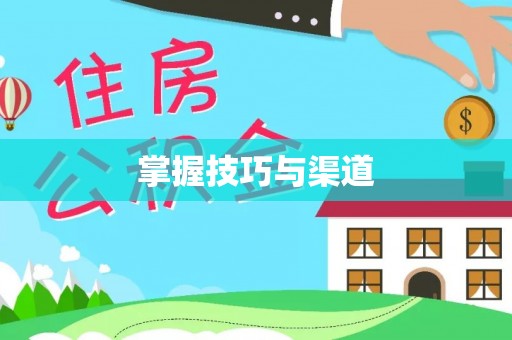阜城掌握技巧与渠道
